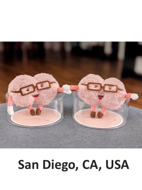 Mini-brain in San Diego