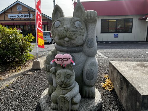 Mini-brain in Tsukuba