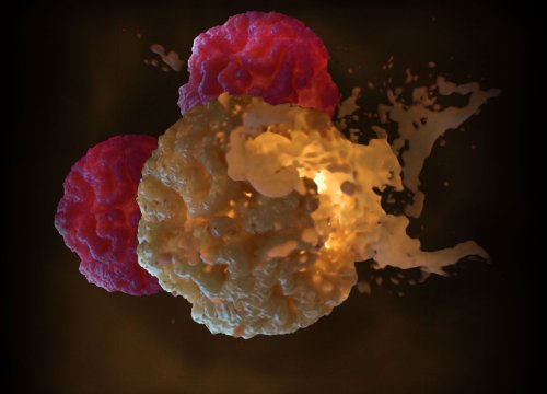 Immuno-oncology applications