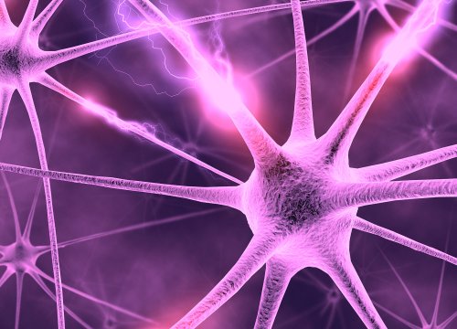 Neural Optical and Electrical Stimulation Application