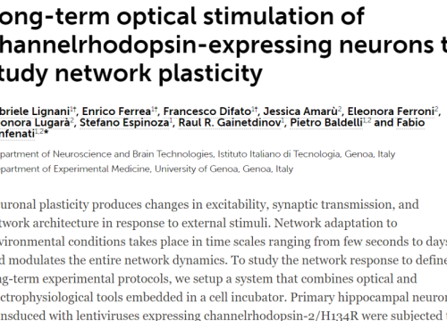 2013_frontmolneurosci_lignani_longtermopticalstimulation.png