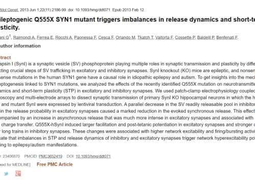 2013 Lingini epileptogenetic mutation