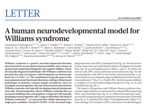 2016_nature_chailangkarn_ahumanneurodevelopmentalmodel.png