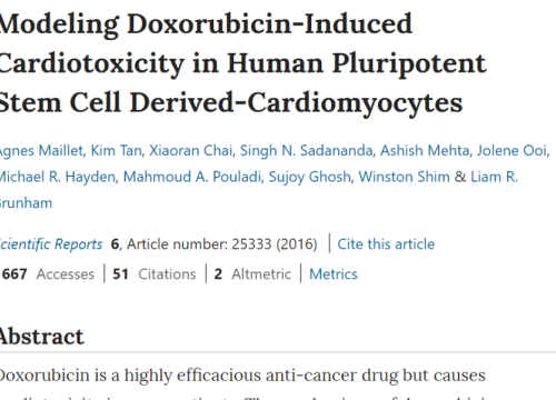 2016_scirep_maillet_modelingdoxorubicininducedcardiotoxicity.png