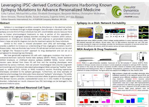 2016 SFN Poster Carlson iPSC-derived cortical neurons with epilepsy mutations