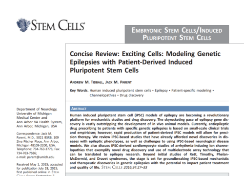 2016_stemcells_tidball_concisereviewexcitingcells.png