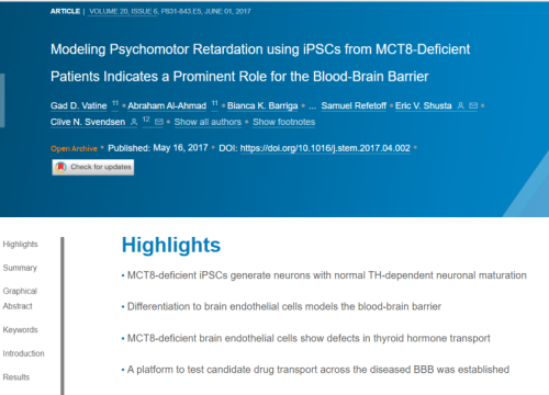 2017_cellstemcell_vatine_modelingpsychomotorretardationusing.png