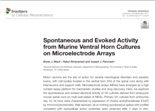 2017_frontcellneurosci_black_spontaneousandevokedactivity.png