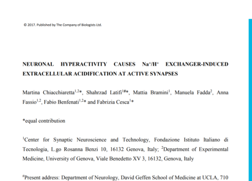 2017_jcellsci_chiacchiaretta_neuronalhyperactivitycausesna.png