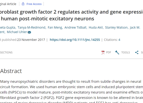 2017_jneurochem_gupta_fibroblastgrowthfactor2.png