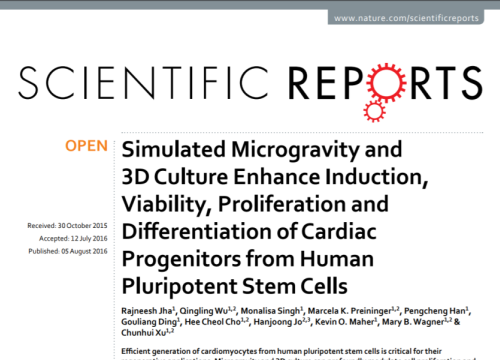 2017_scirep_jha_simulatedmicrogravityand3d.png