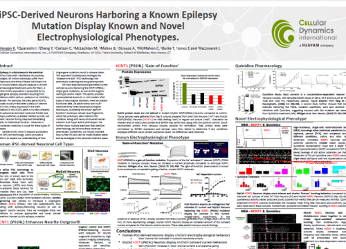 2017 SfN poster iPSC-derived neurons harboring a known epilepsy mutation display known and novel electrophysiological phenotypes