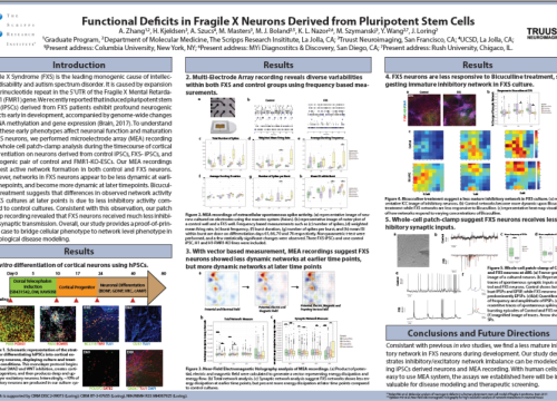 2017 SfN Zhang functional deficits in fragile x