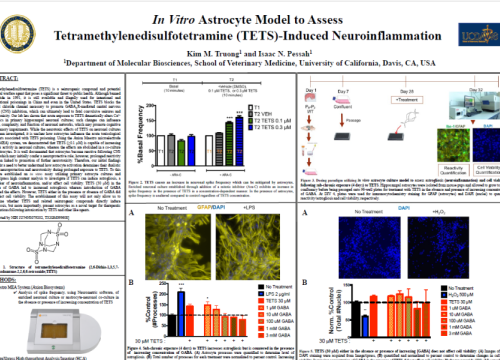 2017 SOT poster Truong in vitro astrocyte model