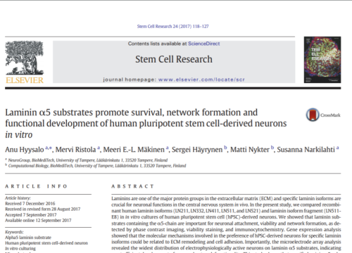 2017_stemcellres_hyysalo_laminin5substratespromote.png