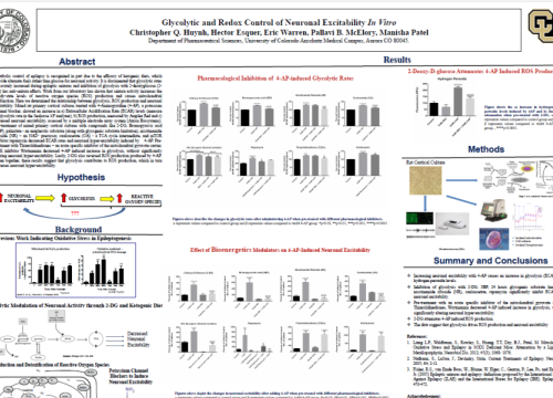 2018 poster huyng glycotic and redox control