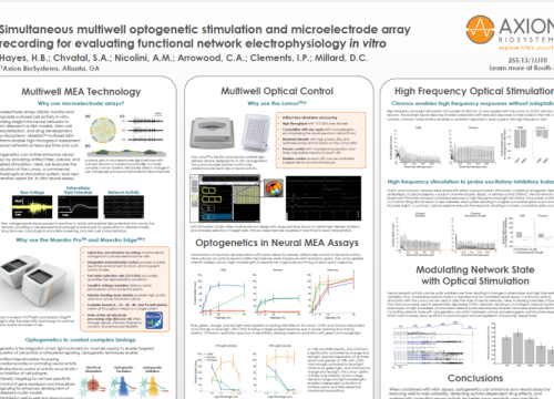 2018 SfN poster Hayes