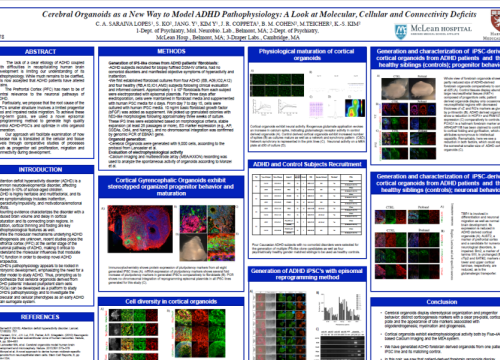 2018 SfN Poster Saraiva Lopes