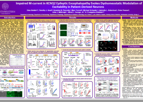 2018 SFN poster Simkin 