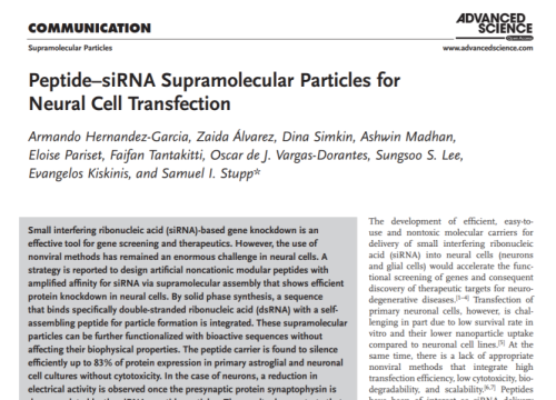 (2018) Hernandez-Garcia et al. Peptide-siRNA Supramolecular Particles for Neural Cell Transfection