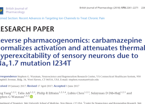 2018_brjpharmacol_yang_reversepharmacogenomicscarbamazepinenormalizes.png