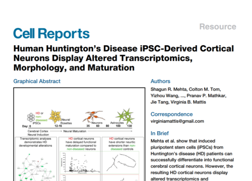 2018_cellrep_mehta_humanhuntingtonsdiseaseipsc.png