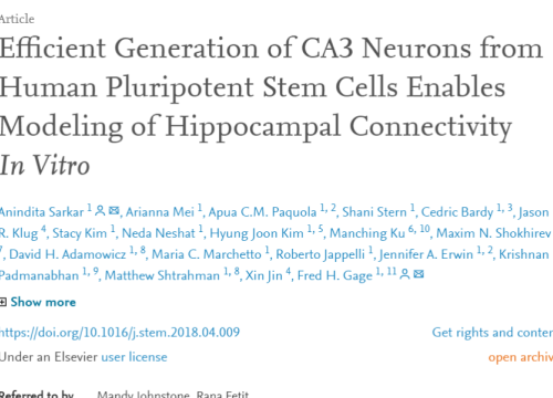 (2018) Sarkar et al. Efficient Generation of CA3 Neurons from Human Pluripotent Stem Cells Enables Modeling of Hippocampal Connectivity In Vitro