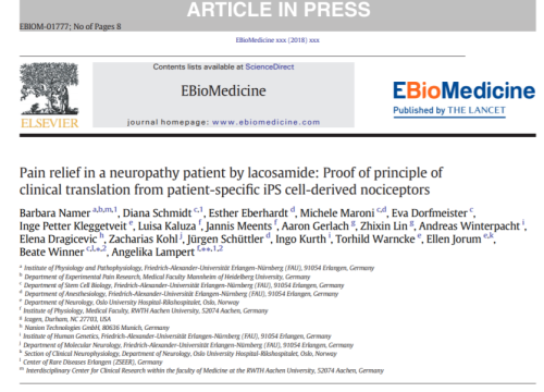 2018_ebiomedicine_namer_painreliefina.png