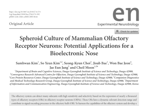 2018_expneurobiol_kim_spheroidcultureofmammalian.png