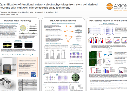 2018 imin poster clements functional network