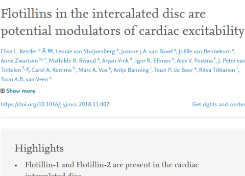 2018_jmolcellcardiol_kessler_flotillinsintheintercalated.png