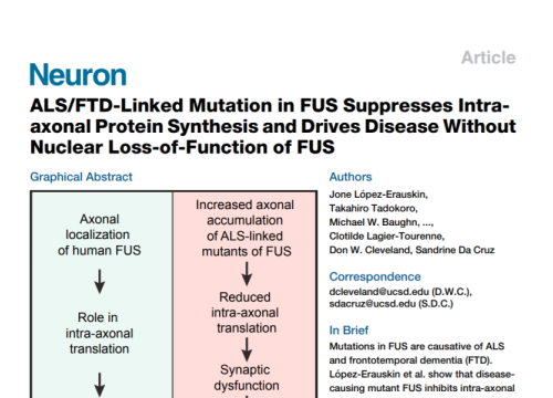 2018_neuron_lopezerauskin_alsftdlinkedmutation.png