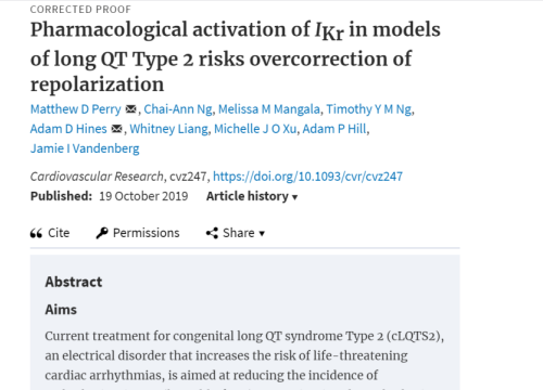 2019_cardiovascres_perry_pharmacologicalactivationofikr.png