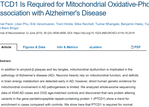 2019_jneurosci_fleck_ptcd1isrequiredfor.png