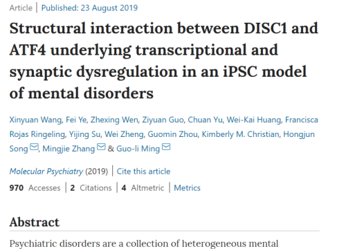 2019_molpsychiatry_wang_structuralinteractionbetweendisc1.png