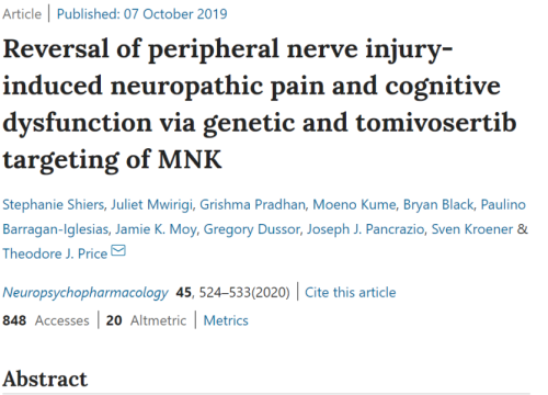 2019_neuropsychopharmacology_shiers_reversalofperipheralnerve.png