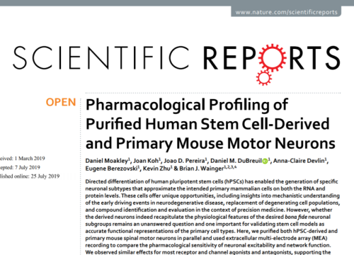 (2019) Moakley et al. Pharmacological Profiling of Purified Human Stem Cell-Derived and Primary Mouse Motor Neurons 