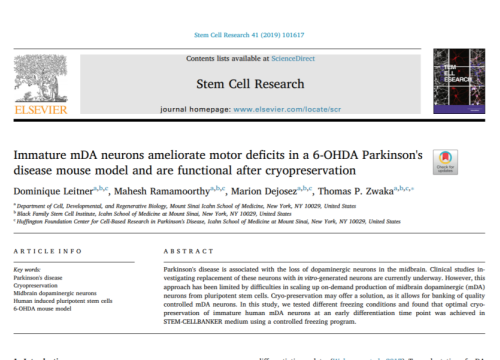 2019_stemcellres_leitner_immaturemdaneuronsameliorate.png