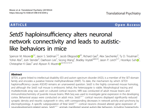 2019_translpsychiatry_moore_setd5haploinsufficiencyaltersneuronal.png