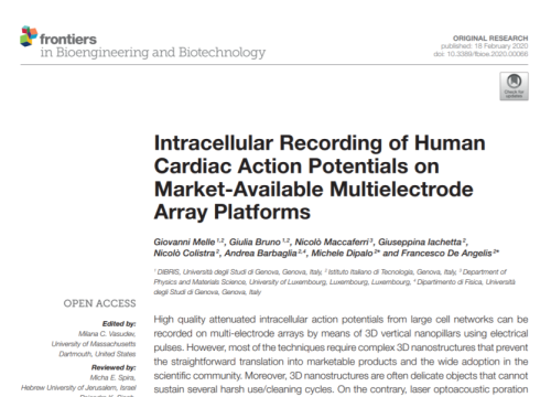 2020_FrontBioengBiotech_Melle_intracellularrecordingofhuman