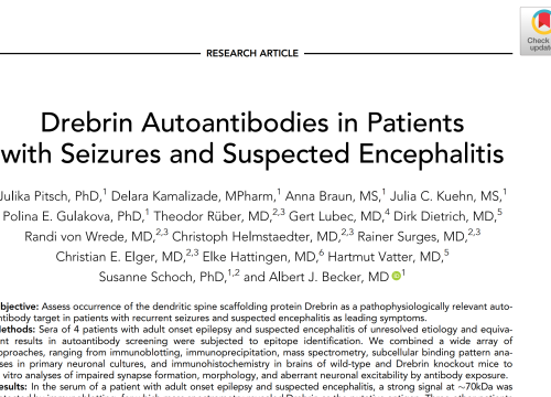 2020_annalsofneuro_pitsch_drebrinautoantibodiesinpatients