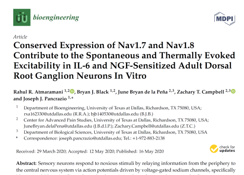 2020_bioengineering_atmaramani_conservedexpressionofnav17