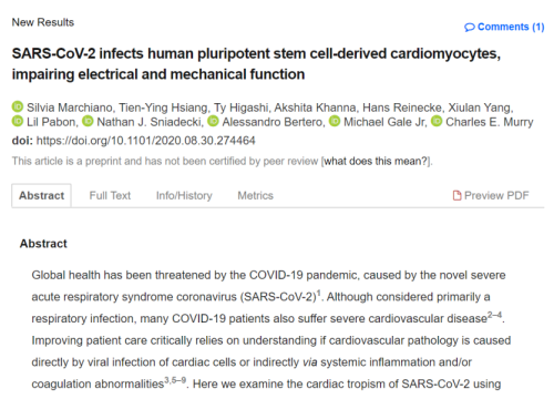 2020 SARS-CoV-2 and cardiomyoctyes