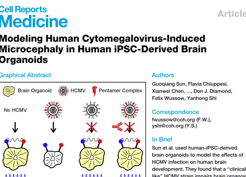 2020_cellrepmed_sun_modelinghumancytomegalovirusinduced