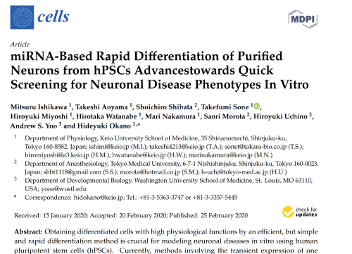 2020_cells_ishikawa_mirnabasedrapiddifferentiation