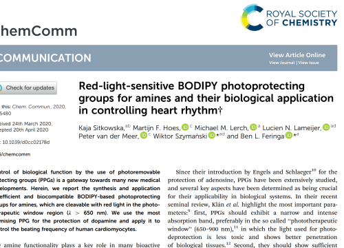 2020_chemcommun_sitkowska_redlightsensitivebodipy