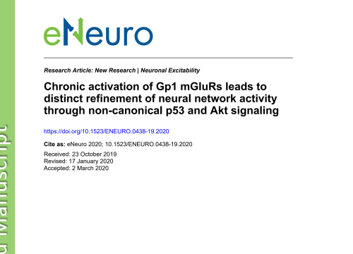 2020_eneuro_liu_chronicactivationofgp1