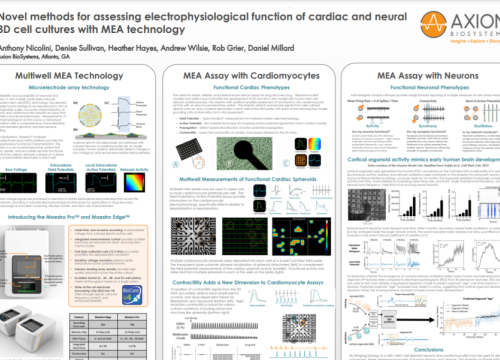 2020_isscr_nicolini_novelmethodsforassessing.png