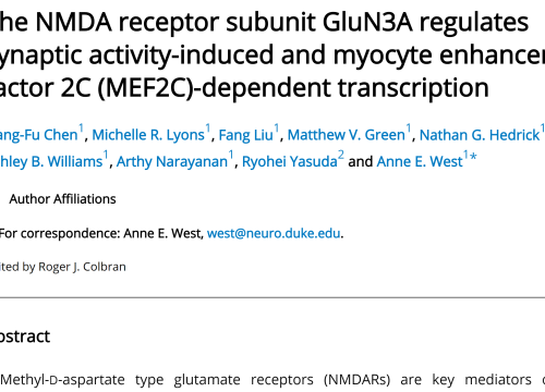 2020_jbiolchem_chen_thenmdareceptorsubunit