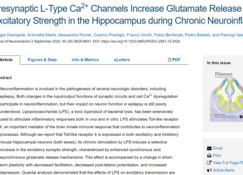 2020_jneurosci_giansante_presynapticltypeca2channels.png